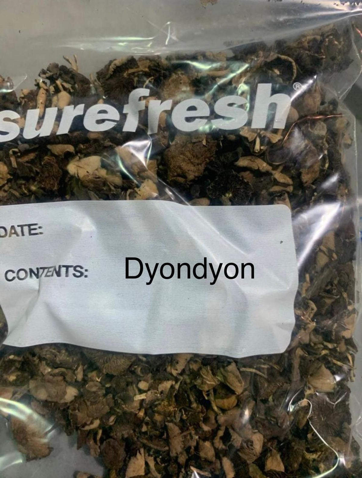Djondjon